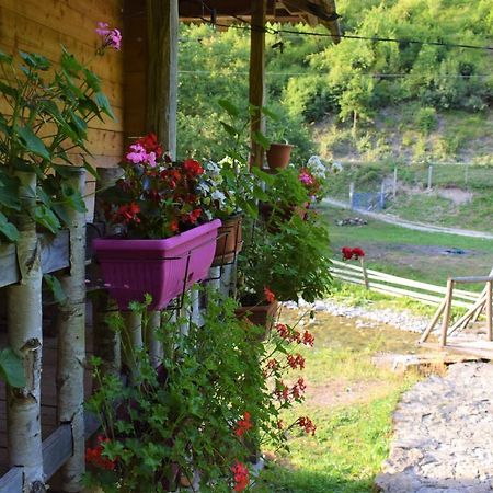Hotel Oka I Po Беране Экстерьер фото